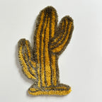 TUFTING CACTUS ARIZONA